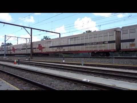 Pacific National 5MB4 and Aurizon 5BM7 pass by in one shot - 12/2/16
