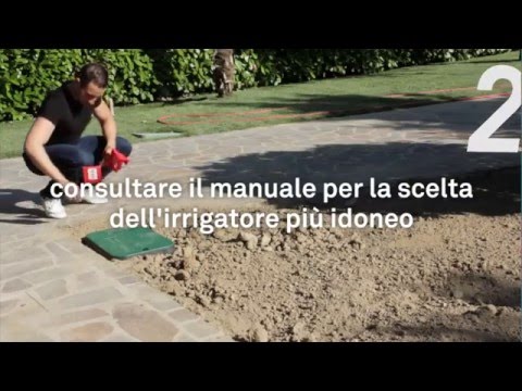 Ingrandimento del pene libera Aumentare la potenza di prezzemolo