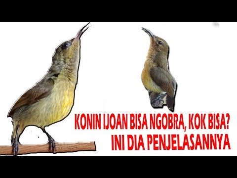 Ijoan Novyj Trend Smotret Onlajn Na Sajte Trendovi Ru