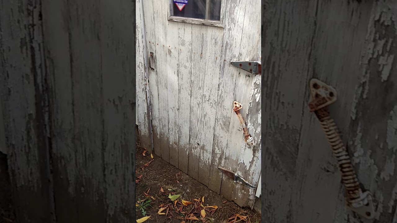 What does lead paint look like