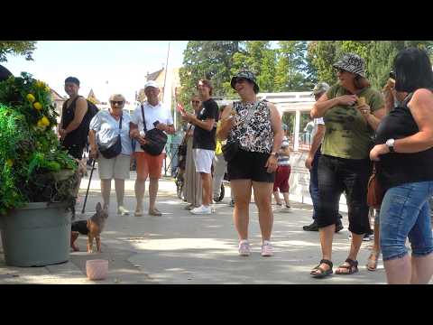 BUSHMAN PRANK  (CHRISTMAS SPECIAL 2025) SO SO FUNNY