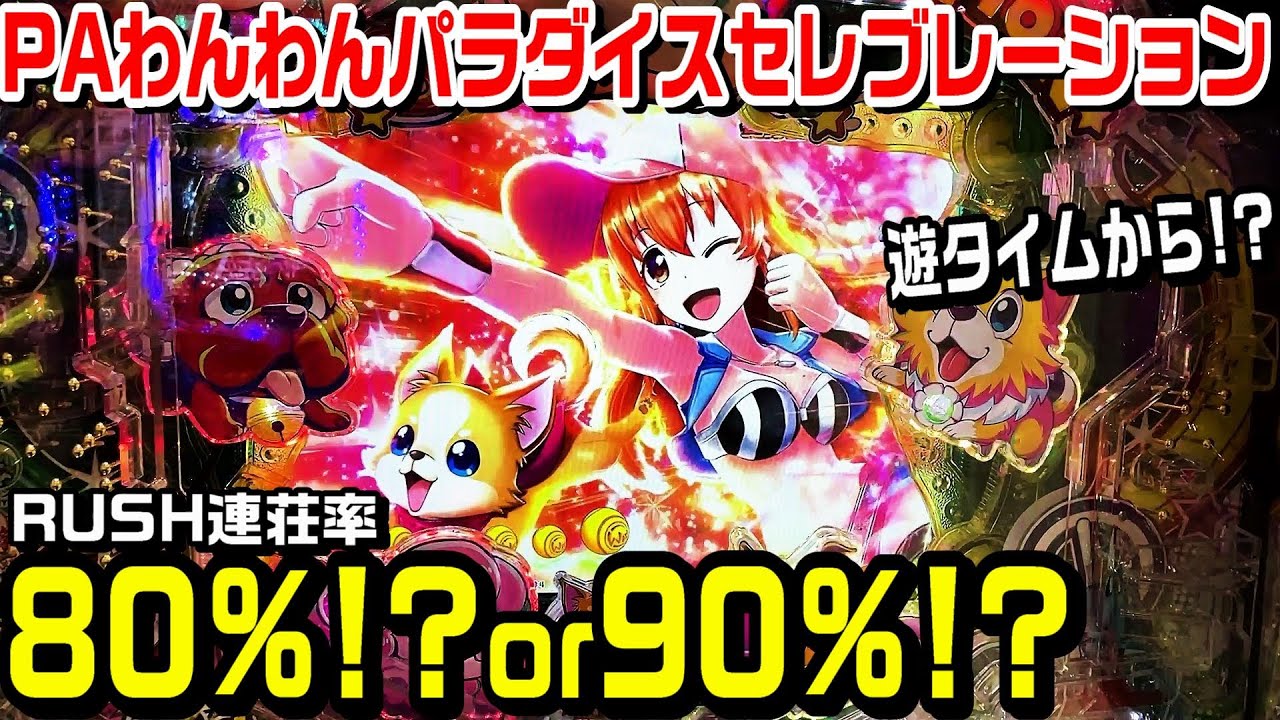 【遊タイムから⁉】わんわんパラダイスセレブレーション甘デジ!!レッツワンダホー!!特盛ロッキー!!z上位RUSH!!【パチ細道】