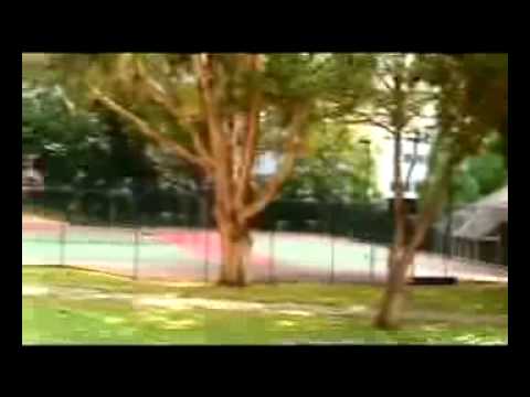 promo video for ausino 宣传片