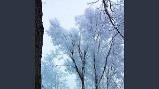 In the Winter Snow