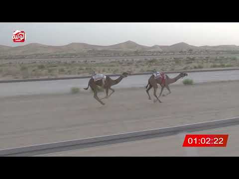  ش 9 (الذيبه) لـ ساري محمد بن كراز المهيري 3:16 ، شارة الشيخ طحنون 2026/7/31 فطامين الخزنة