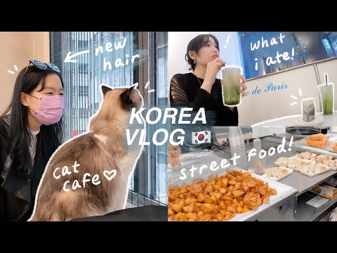 COREIA VLOG: cabelo novo, comida de rua coreana em myeongdong, café para gatos, compras
