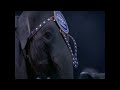 Opening To The Greatest Show On Earth Barnum S Funundrum 2010 DVD
