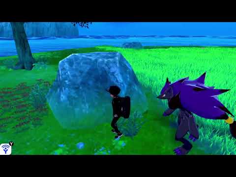 Zoroark Confuses Ditto with Ditto??