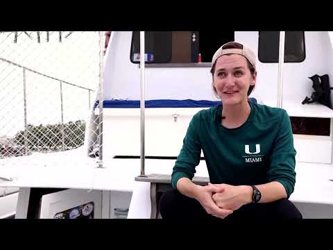 佛州鯊魚教授想讓女孩們投入科學懷抱！| 路透社 (This Florida shark prof wants girls to dive into science | REUTERS)