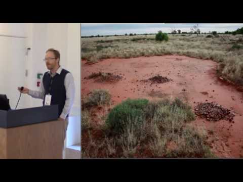 Simulation as middle–range research