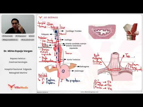 GENERALITIES OF THE ESOPHAGUS PART 1 - GASTROENTEROLOGY - VILLAMEDIC