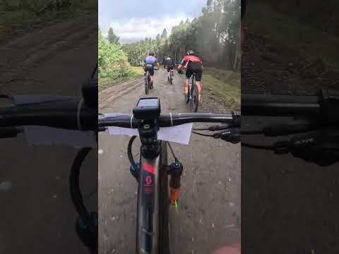 XCM los sauces 2026