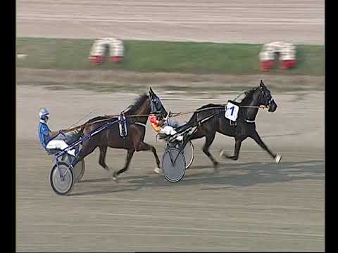 Napoli Trotto 11/10/2022 - 3ª prova di qualifica