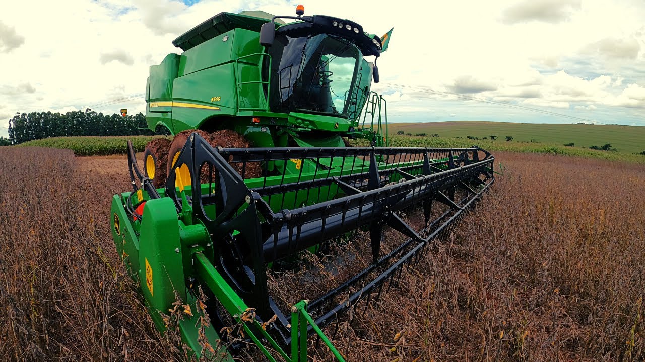 Entramos colher nossa soja, bastante umidade e ótimo rendimento