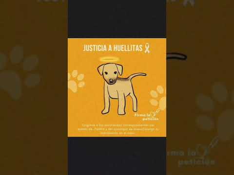 El Caso de Vanessa N. La chica que le quito la vida su mascota recién Adoptada!