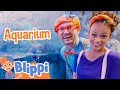 Blippi Visits The Aquarium Of The Pacific Blippi Meekah Full Episodes Educational Videos