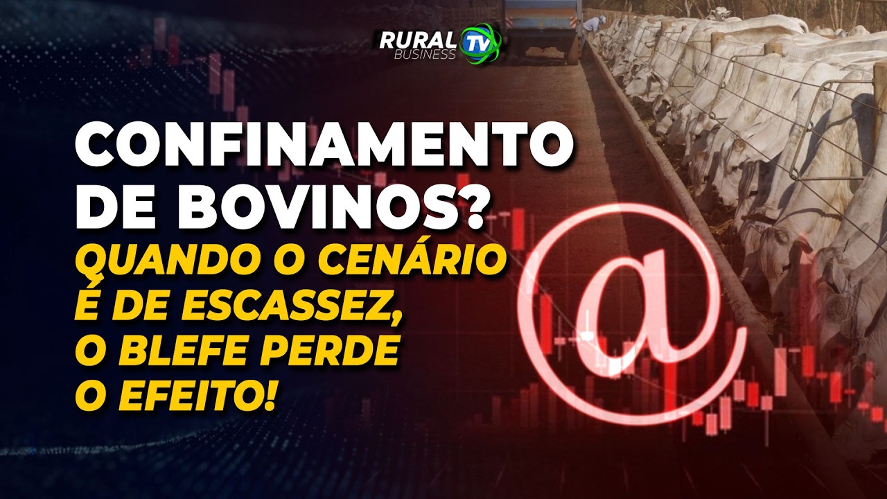 CONFINAMENTO DE BOVINOS? QUANDO O CENÁRIO É DE ESCASSEZ, O BLEFE PERDE O EFEITO!