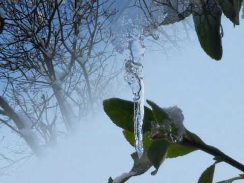 Video thumbnail for Aura Shine