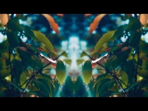 Dee Montero ‘In The Wild’ (Dee Montero Revisit) (ANJUNADEEP REFLECTIONS)