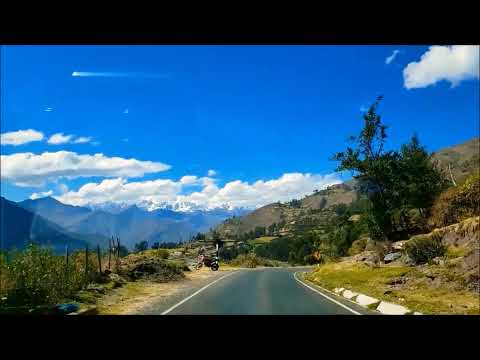 MARIO MENDOZA DAMAZO   PLANTA DE MAGUEY