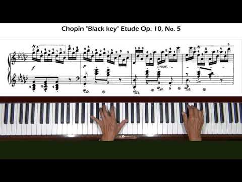 Chopin "Black Key" Etude Op. 10, No. 5 Piano Tutorial