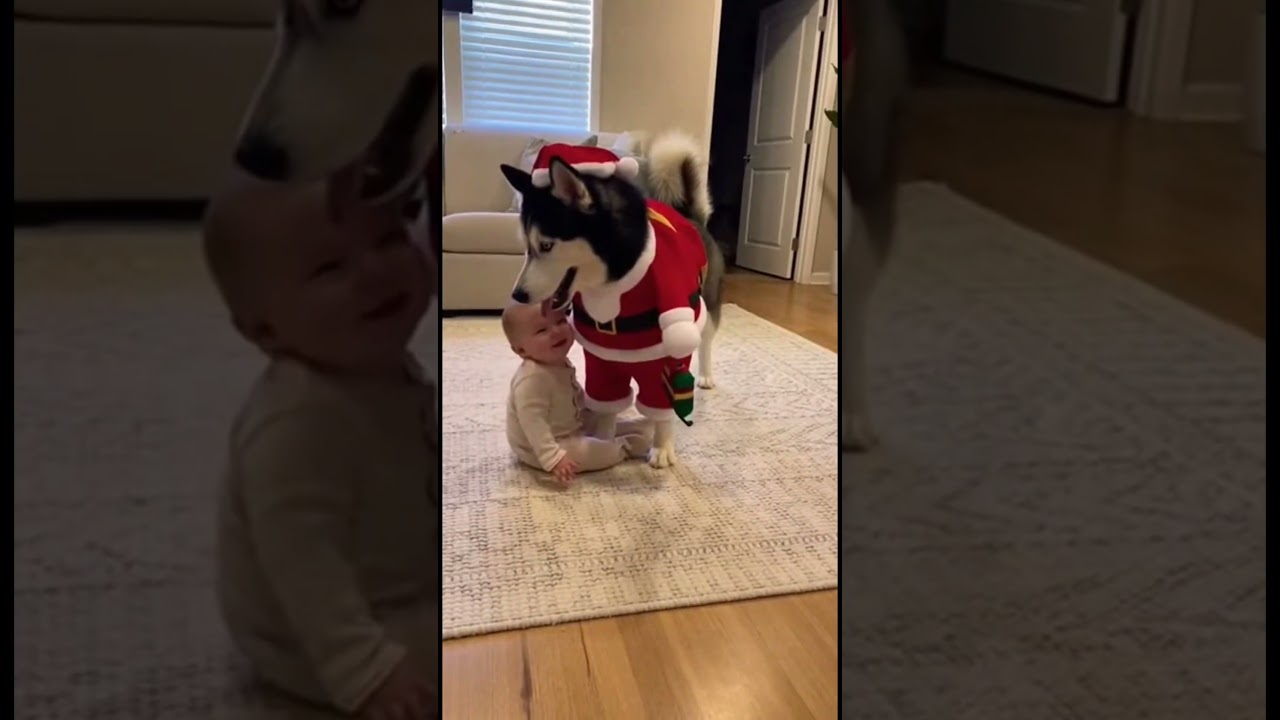 ラブラブ…💕 #赤ちゃん #ai #可愛い #baby #dog