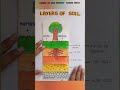 Layers of soil #environment #facts #youtubeshorts #sciencefacts #soil #projectideas #project