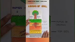 Layers of soil #environment #facts #youtubeshorts #sciencefacts #soil #projectideas #project