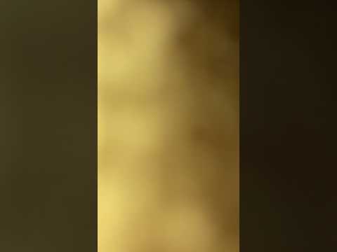 Exposing the Witch Part 1