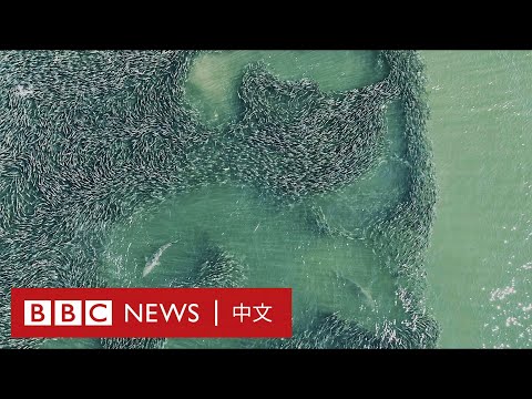 樂信台風水
