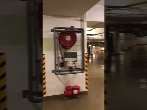 碧堤半島 Youtube Video