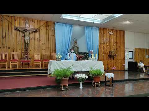 Misa 11 Febrero 2021 (19 hrs.)