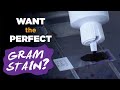 How to prepare the perfect Gram stain - Gram staining procedure