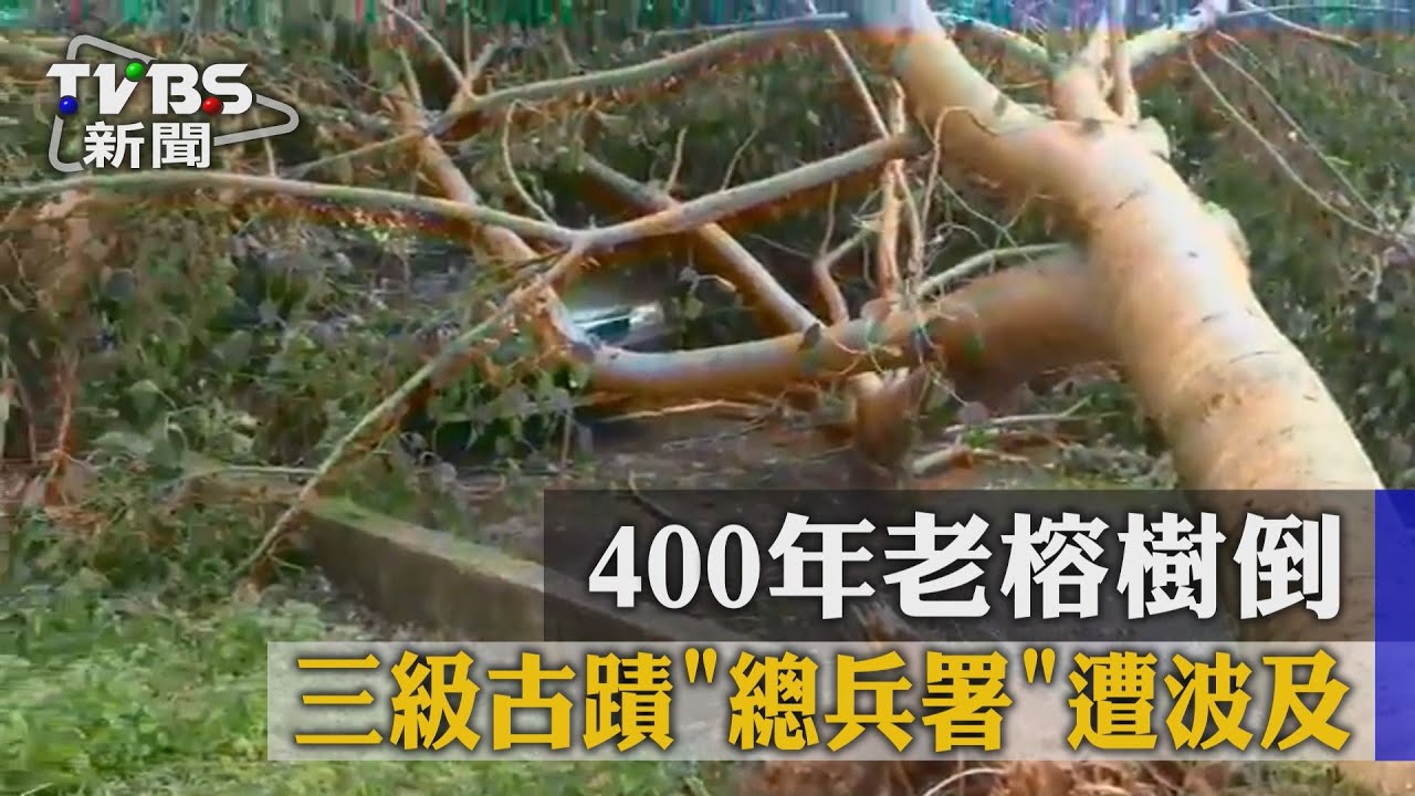 400年老榕樹倒 三級古蹟「總兵署」遭波及