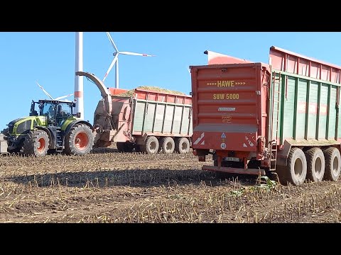 Maisernte Jaguar980,Fendt930/933,Axion960,3xSUW5000
