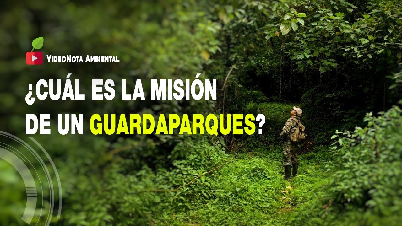 youtube video id=McJe6eLBvdA