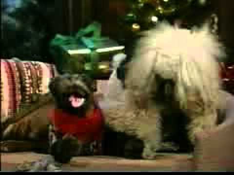 Conan O'Brien Triumph's Christmas