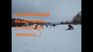 Безмотылка или мотыль