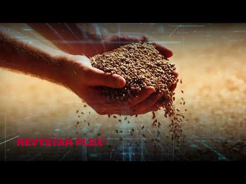 Revystar Flex®️ - Budi dio revylucije!