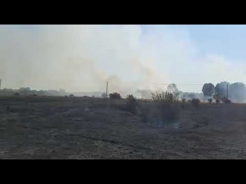 Incendiu de vegetație la Negrași