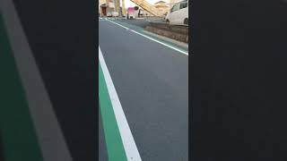 ただのほうこく