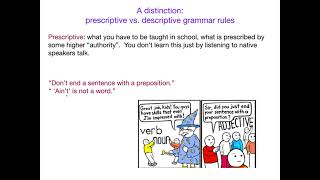 AcqOfLang1: Prescriptive vs. Descriptive Grammar Rules