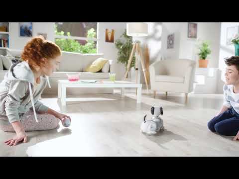 SILVERLIT YCOO N'FRIENDS ROBO DACKEL