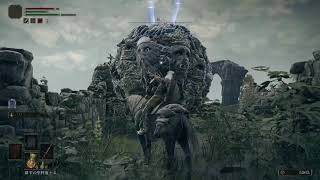 【ELDEN RING】今日もエルデン！【エルデン リング】#6