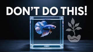 Betta Fish Secrets - 9 Things Most People DON'T KNOW!