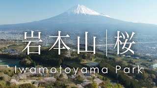 空撮 富士山と桜 岩本山公園  |  Cherry Blossoms at Iwamotoyama Park