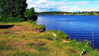 Ловля на волге с берега сома