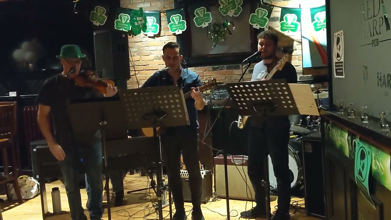 Promotional video thumbnail 2 for The Celtic Effect Band