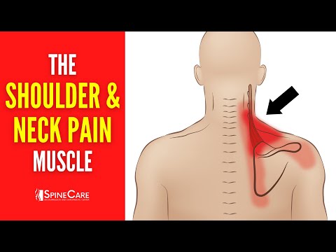 The Neck and Shoulder Pain Muscle (How to Release It for INSTANT RELIEF)