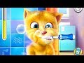 Talking Ginger (Говорящий Рыжик) 
